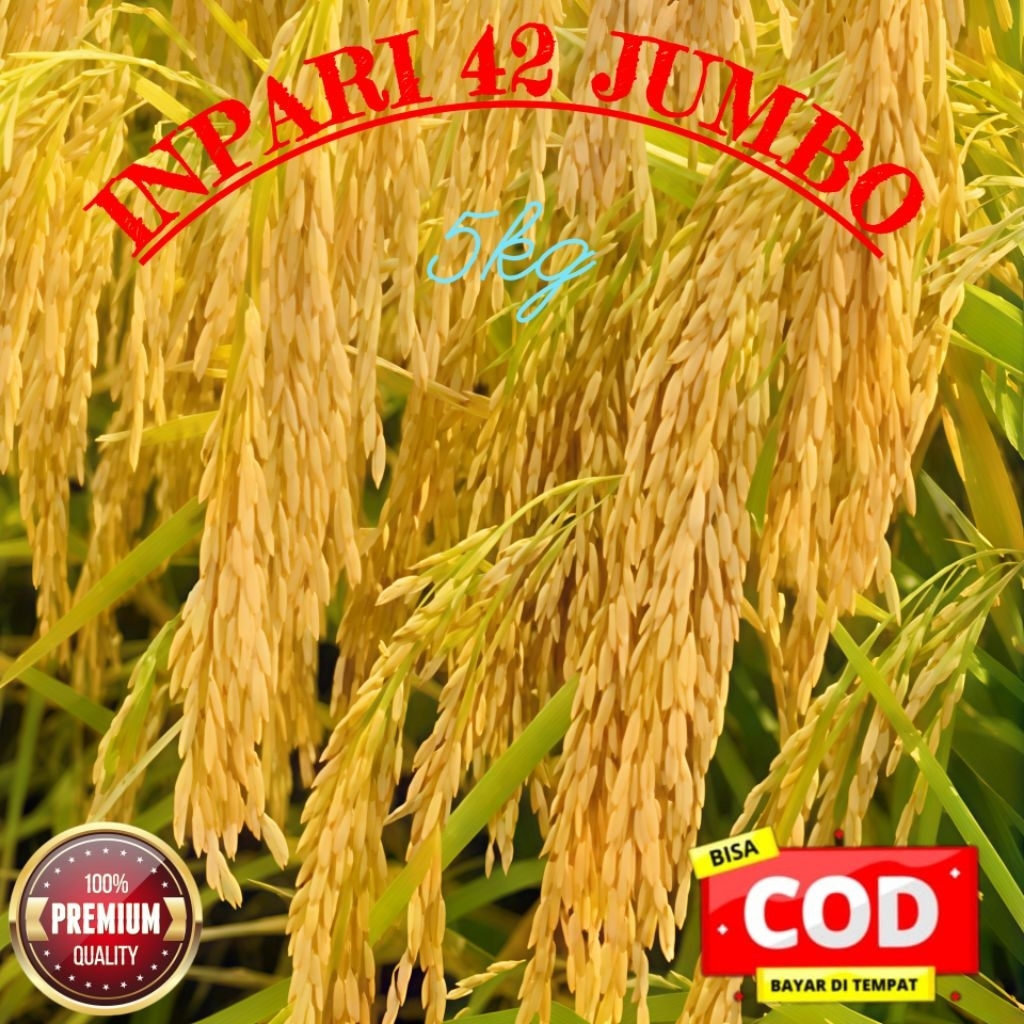 BENIH BIBIT PADI INPARI 42 JUMBO SUPER UNGGUL BERKUALITAS KEMASAN 5KG