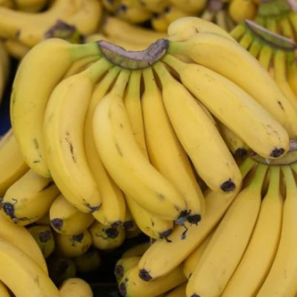 PISANG AMBON 1 SISIR