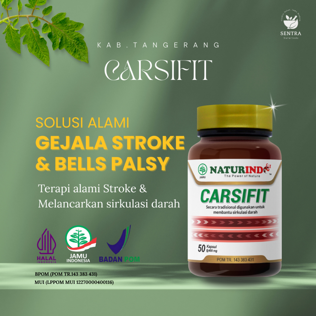 Obat Herbal Stroke Ringan Struk Stroke Bells Palsy Carsifit Naturindo