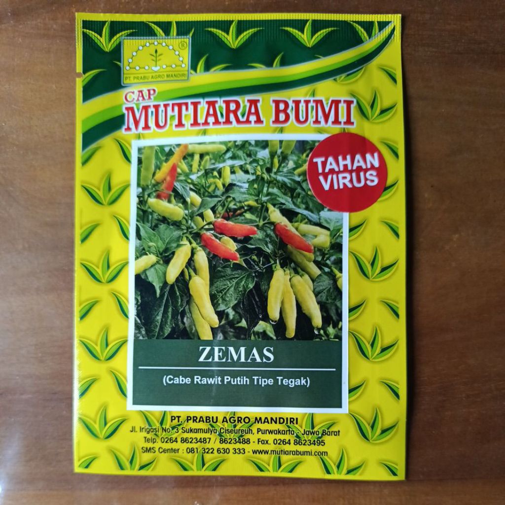 Benih Cabe rawit putih type tegak Zemas, benih cabe rawit super mutiara bumi