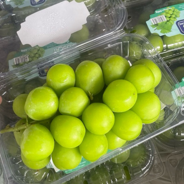 Anggur Muscat / Anggur Hijau / 500 gram per Box