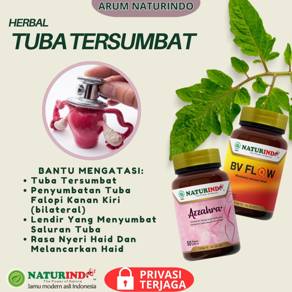Herbal Tuba Fallopi Non-Paten Hidrosalping Tuba Fallopi Tersumbat Penyumbatan Saluran