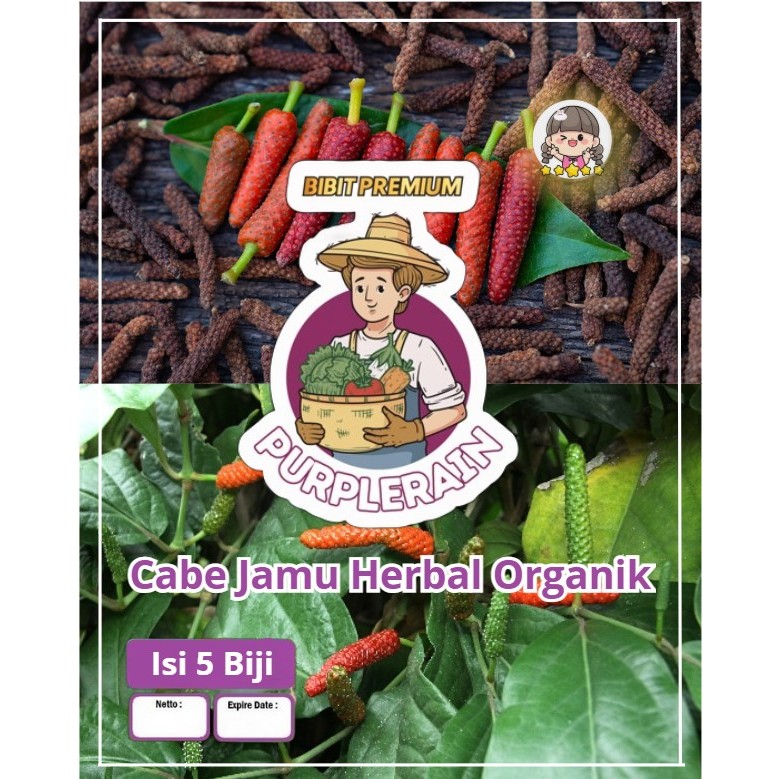 Bibit Premium Cabe Jamu Herbal Organik | Biji Benih Cabe Jamu | Cabe Jawa
