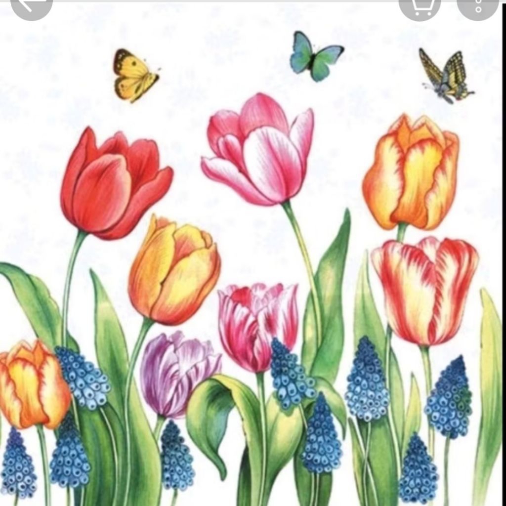 Tissue Decoupage Eropa