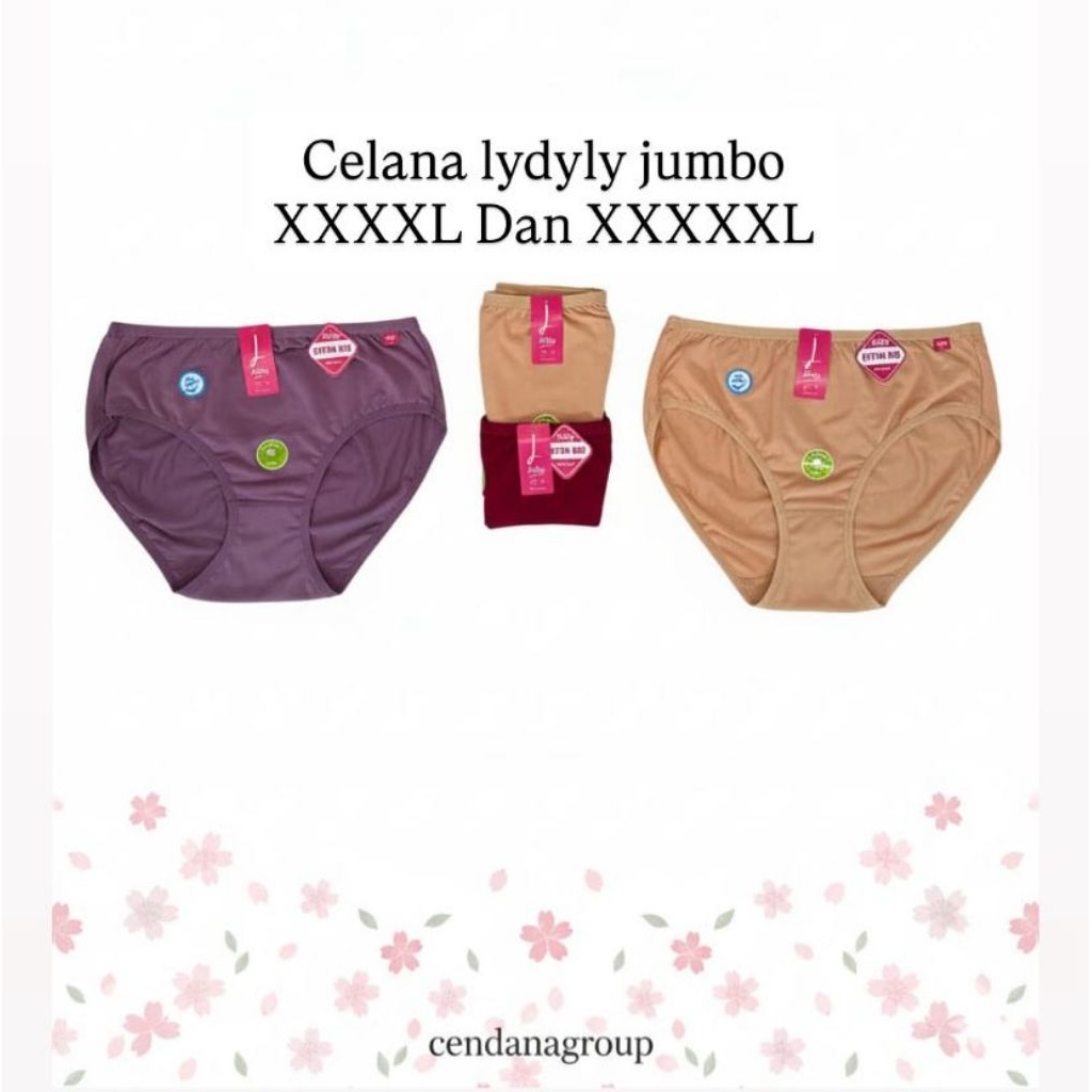 CELANA DALAM LYDYLY JUMBO 5L & 6L isi 3 (pcs)