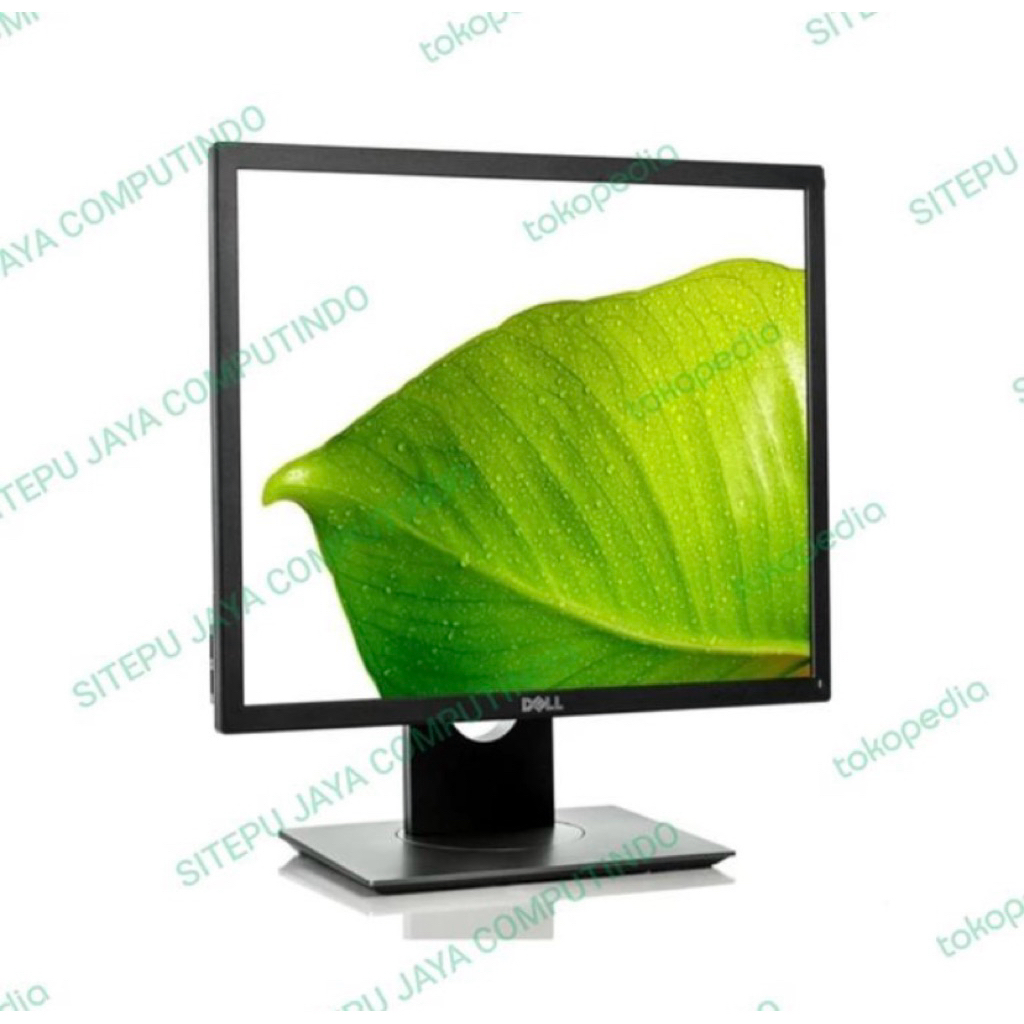 MONITOR LED DELL lps P1917S 19Inchi Kotak square for desain Grapics