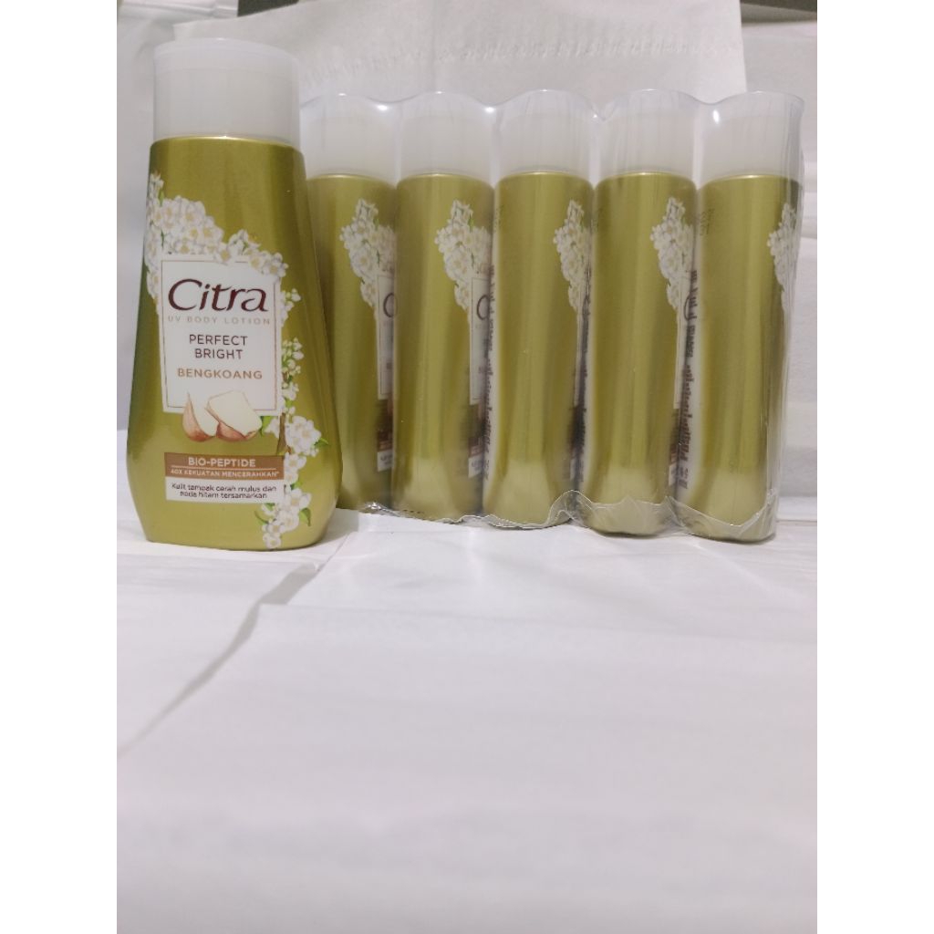6 Pcs Citra Hand Body Lotion Natural Glowing Lotion 60ml kecil