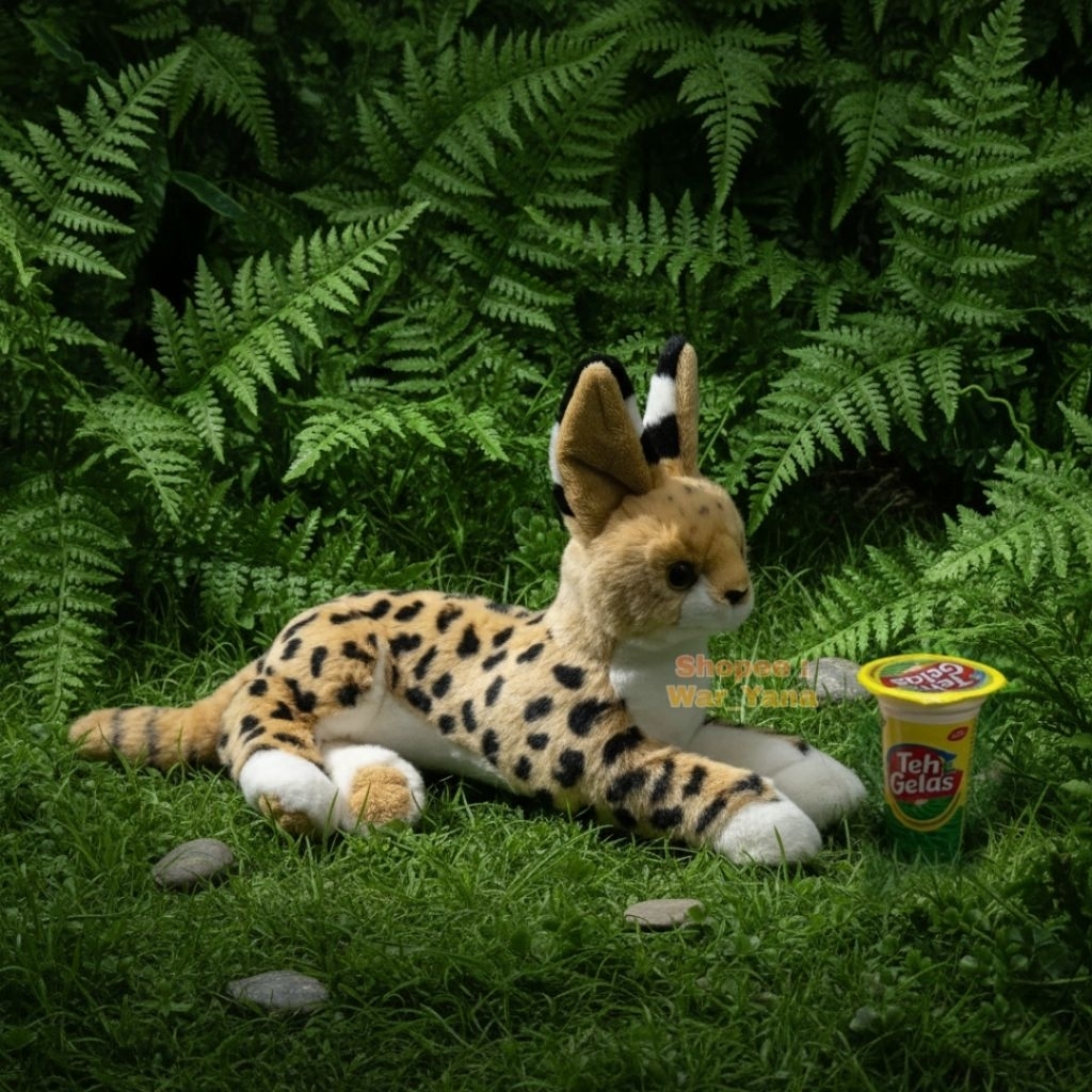 Boneka Kucing Serval import Original 10C+1 Animal Tierbiskat Wild Cat Africa Soft Toys Plushie Stuff