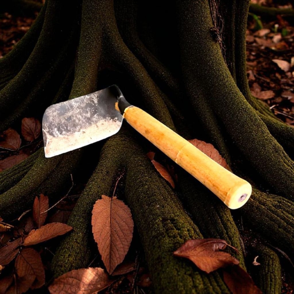 aret rumput ori cap bintang lima asli baja khas madura