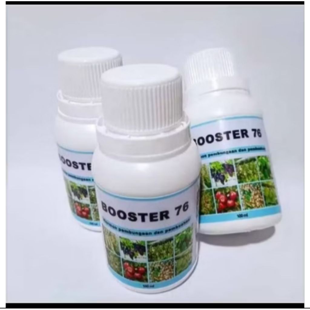 booster 76 hormon pembuahan pembungaan