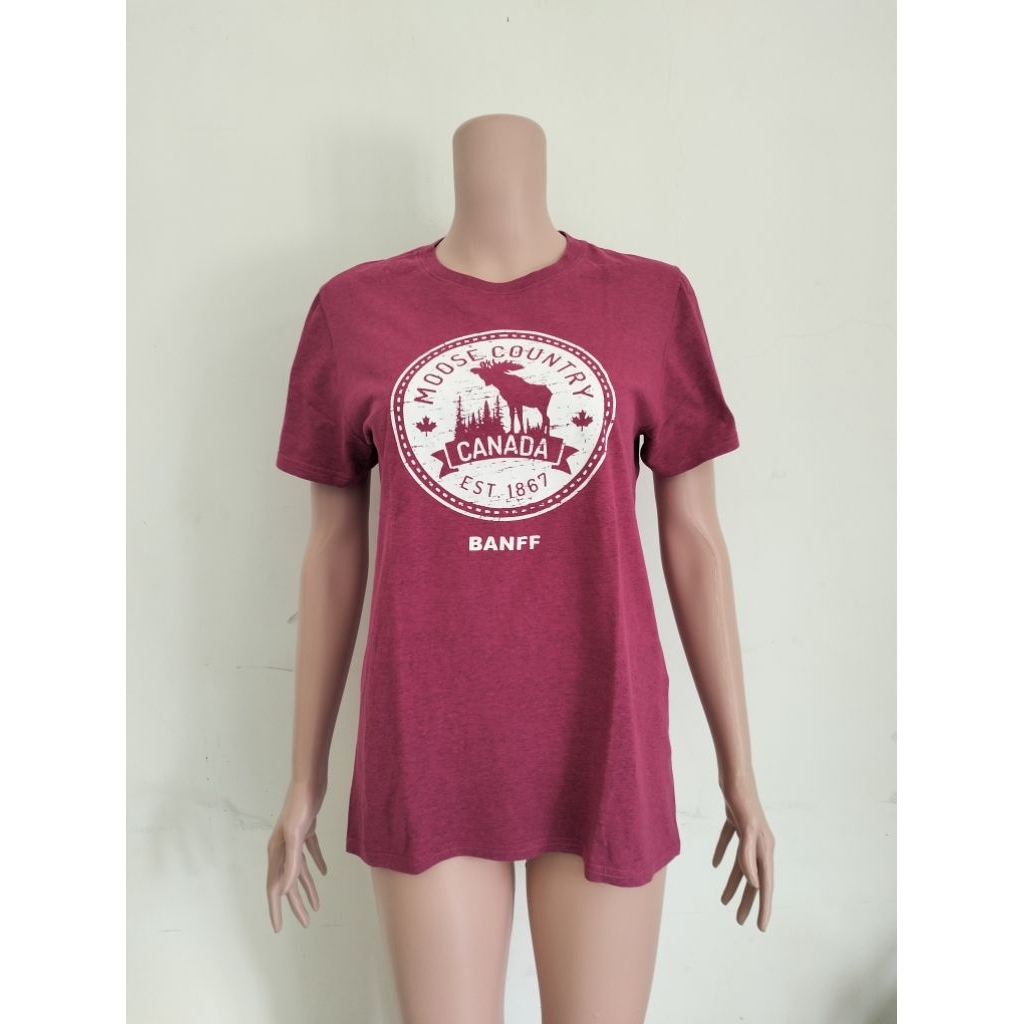 PRELOVED KAOS (GILDAN)