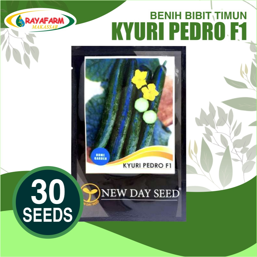 Benih Bibit Timun Kyuri Pedro F1 30 Biji Mentimun Jepang New Day Seed