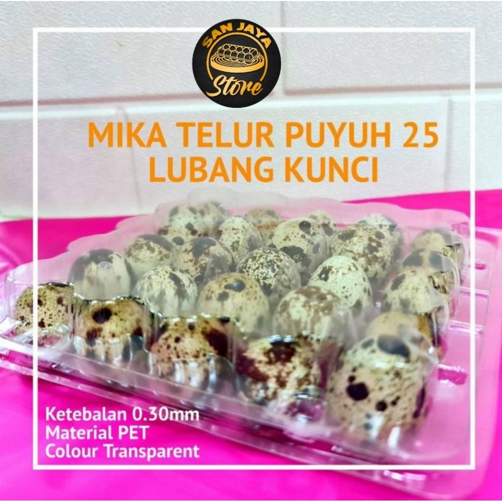 MIKA TELUR PUYUH ISI 25 LUBANG SUDAH ADA PENGUNCI