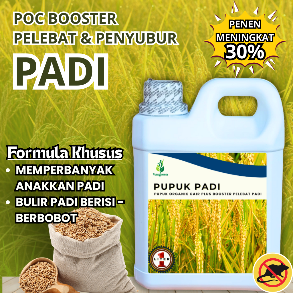 Pupuk Padi Cair Pelebat Bulir & Memperbanyak Anakan - Pengendali Hama Tikus | Pupuk Cair Semprot Pad