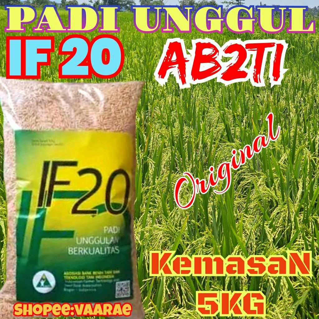 BENIH PADI UNGGUL IF20 ORIGINAL AB2TI KEMASAN 5KG