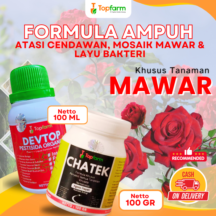 Pestisida Bunga Mawar / Obat Hama Bunga Mawar / Obat Semprot Hama Bunga Mawar / Obat Tanaman Bunga M