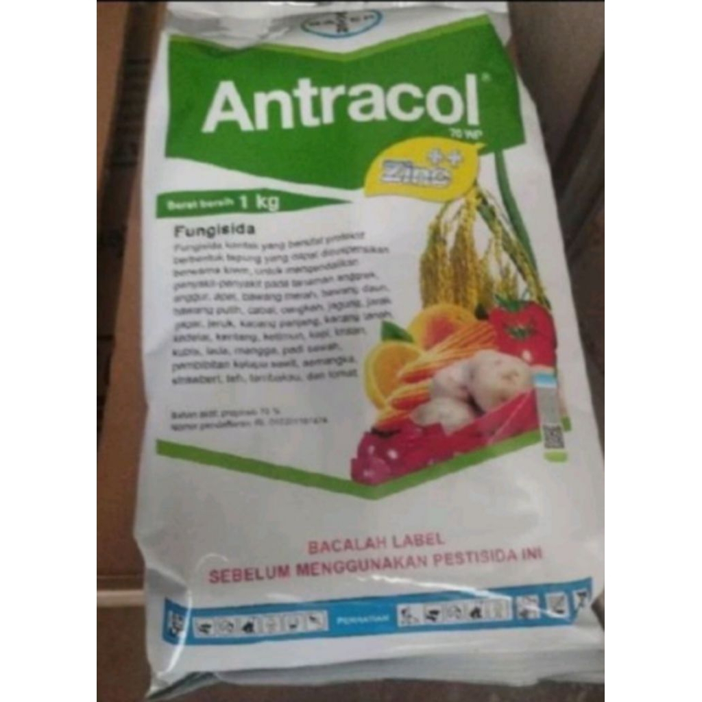 antracol 1kg