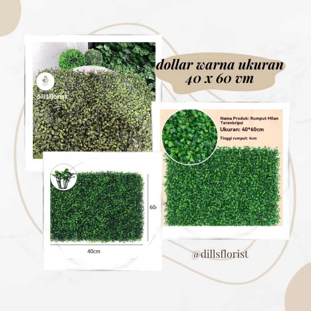 RUMPUT DOLAR 40 X 60/RUMPUT ARTIFICIAL/RUMPUT/DOLAR HIAS/BUNGA HIAS/SINTESIS/ HIASAN DINDING