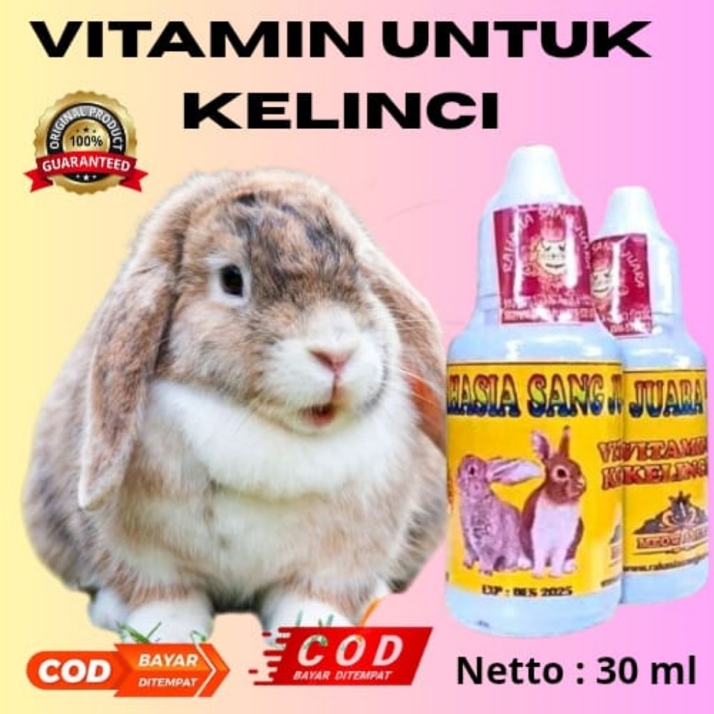VITAMIN KELINCI UNTUK BULU, KESEHATAN, DAN NAFSU MAKAN MENJADIKAN KELINCI SEHAT DAN GEMUK MENINGKATK