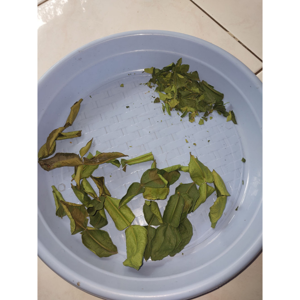 Daun Jeruk Purut Kering
