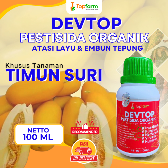 Pestisida Tanaman Timun Suri / Obat Hama Timun Suri / Obat Hama Penyakit Bercak Daun Timun Suri / Ob