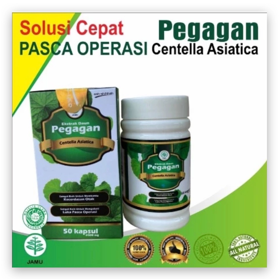 Kapsul Ekstrak Daun Pegagan / Antanan Ash-Shihhah Original 50 Kapsul