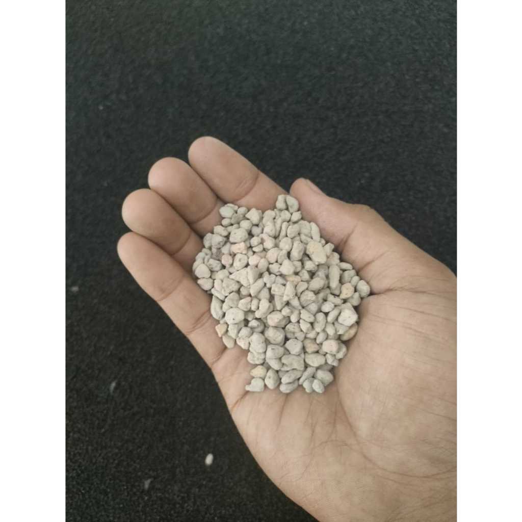 Pumice 1kg media tanam kaktus sekulen batu apung lembut