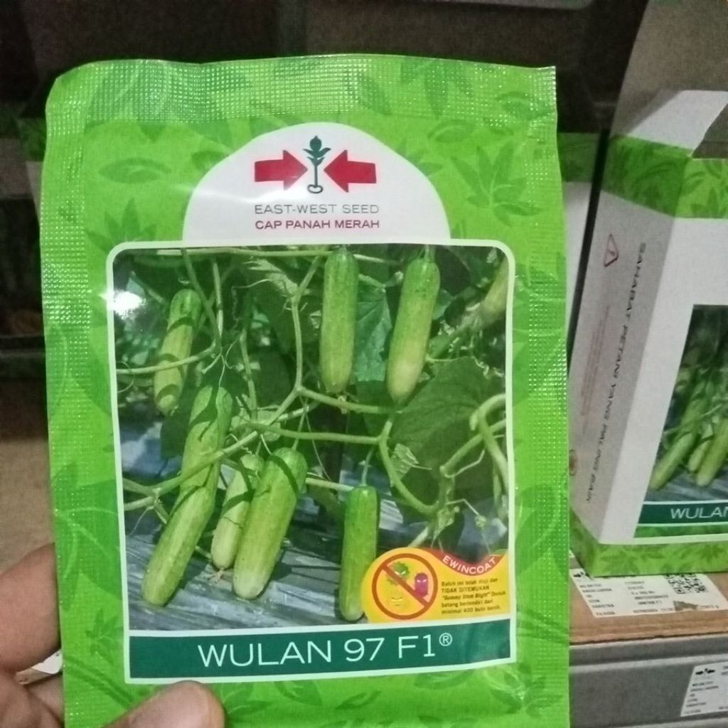 Benih timun WULAN 97F1 800BTR PANAH MERAH