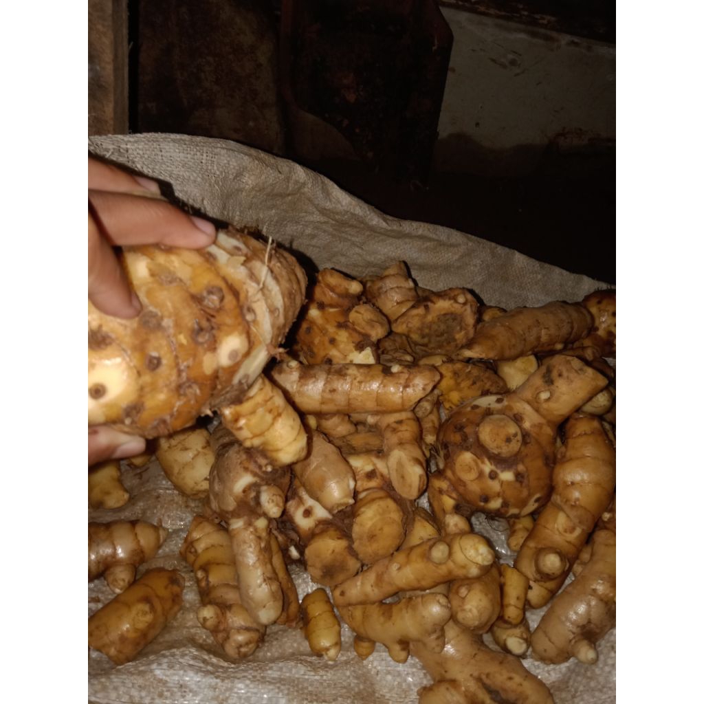 kunyit putih 1kg