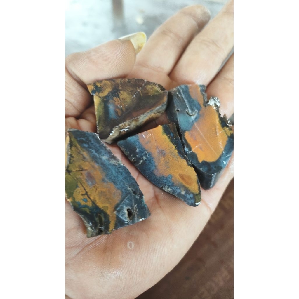 pancawarna Halmahera