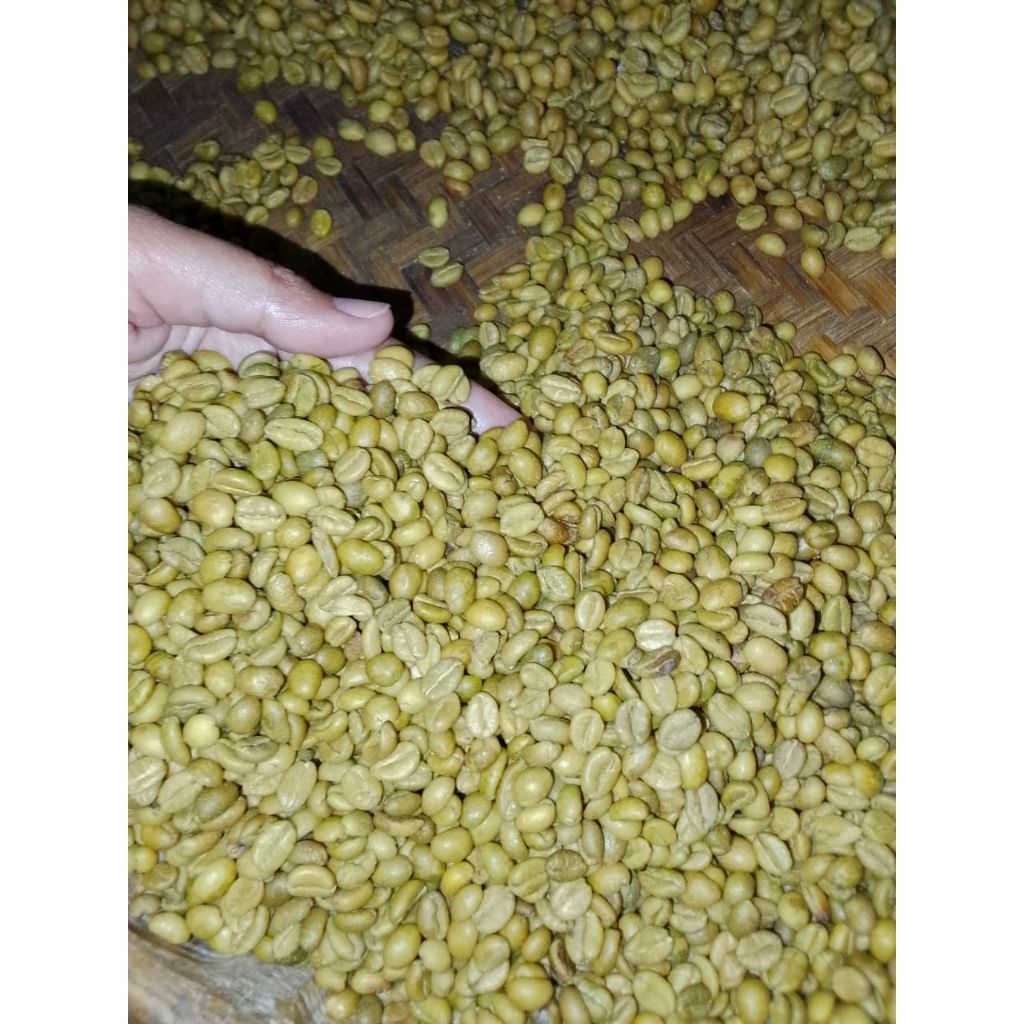 KOPI NANGKA MENTAH 1KG