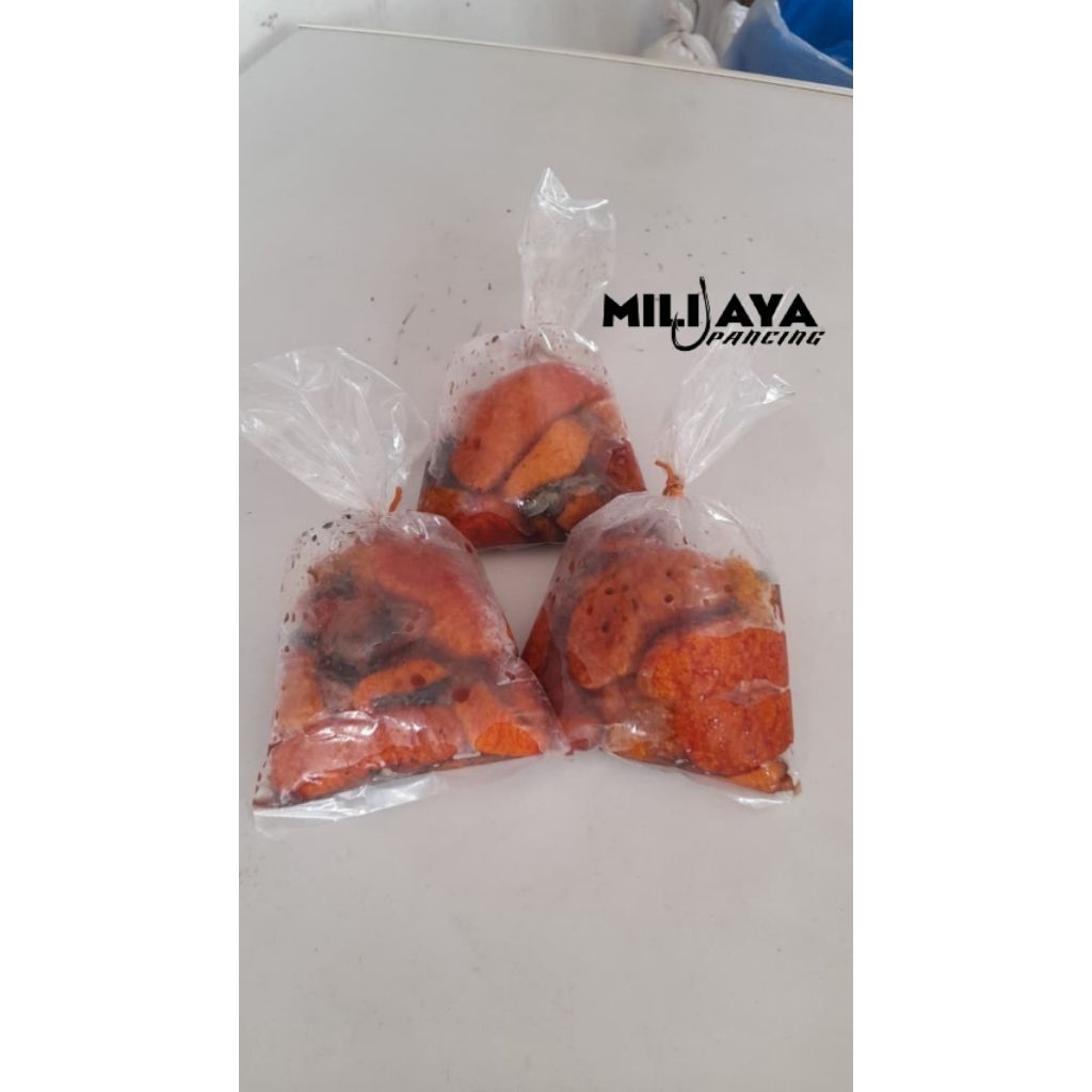 Umpan Telur Sakarmut Telur ikan Pembersih kaca Telur TS Umpan Ts Umpan Galatama ikan Lele Umpan Lele