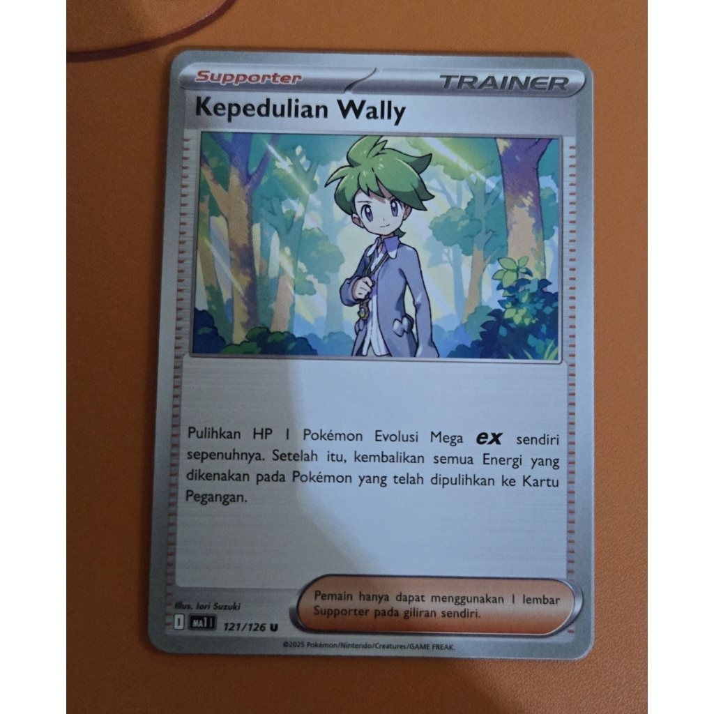 kepedulian wally pokemon