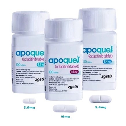 [SIAP KIRIM] Apoquel Obat Anti Gatal Hewan Anjing Tablet 3,6mg / 5,4mg / 16mg - 10 TABLET / apoquel 