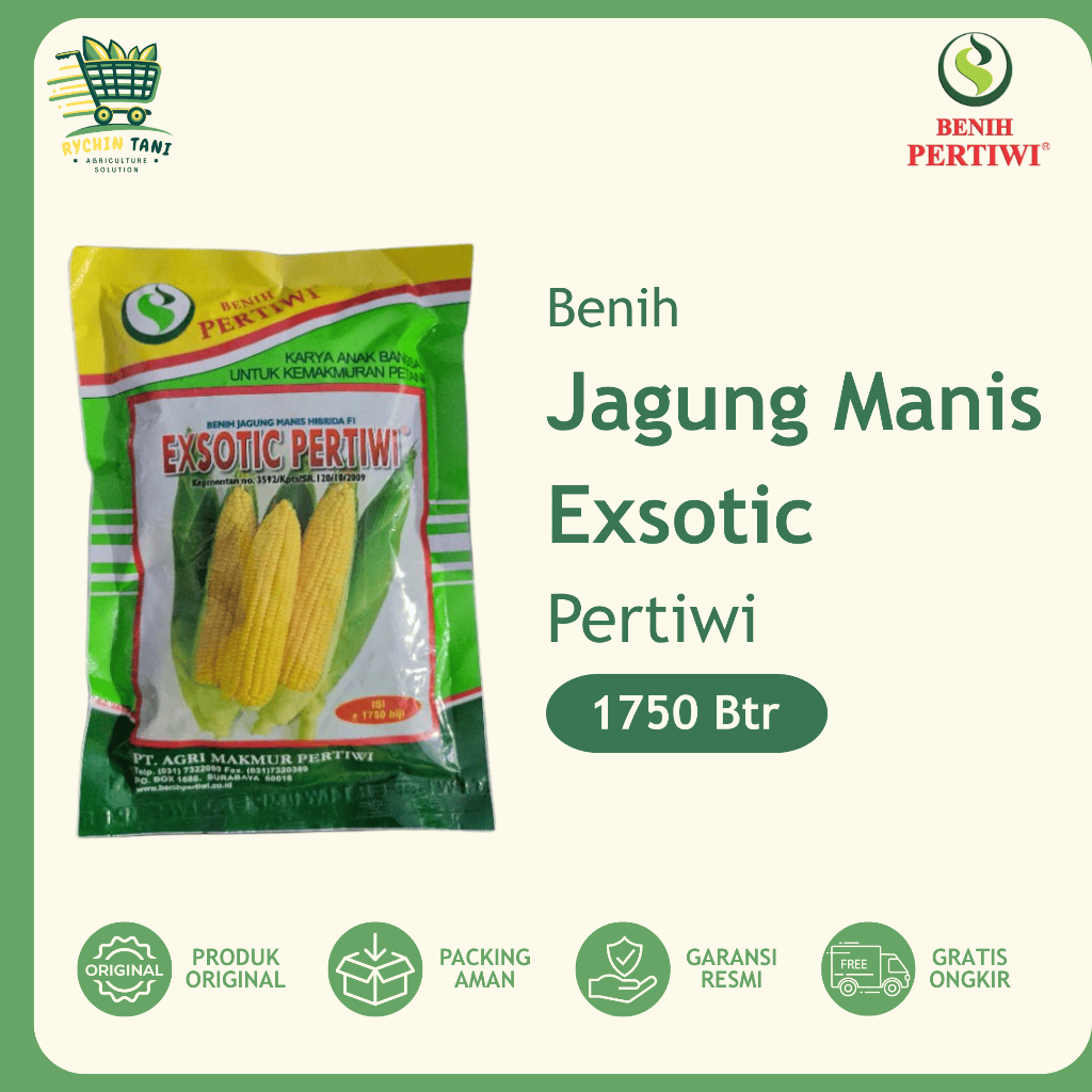 Pertiwi - Benih Jagung Manis EXSOTIC Pertiwi 1750 Butir Benih Pertiwi Original