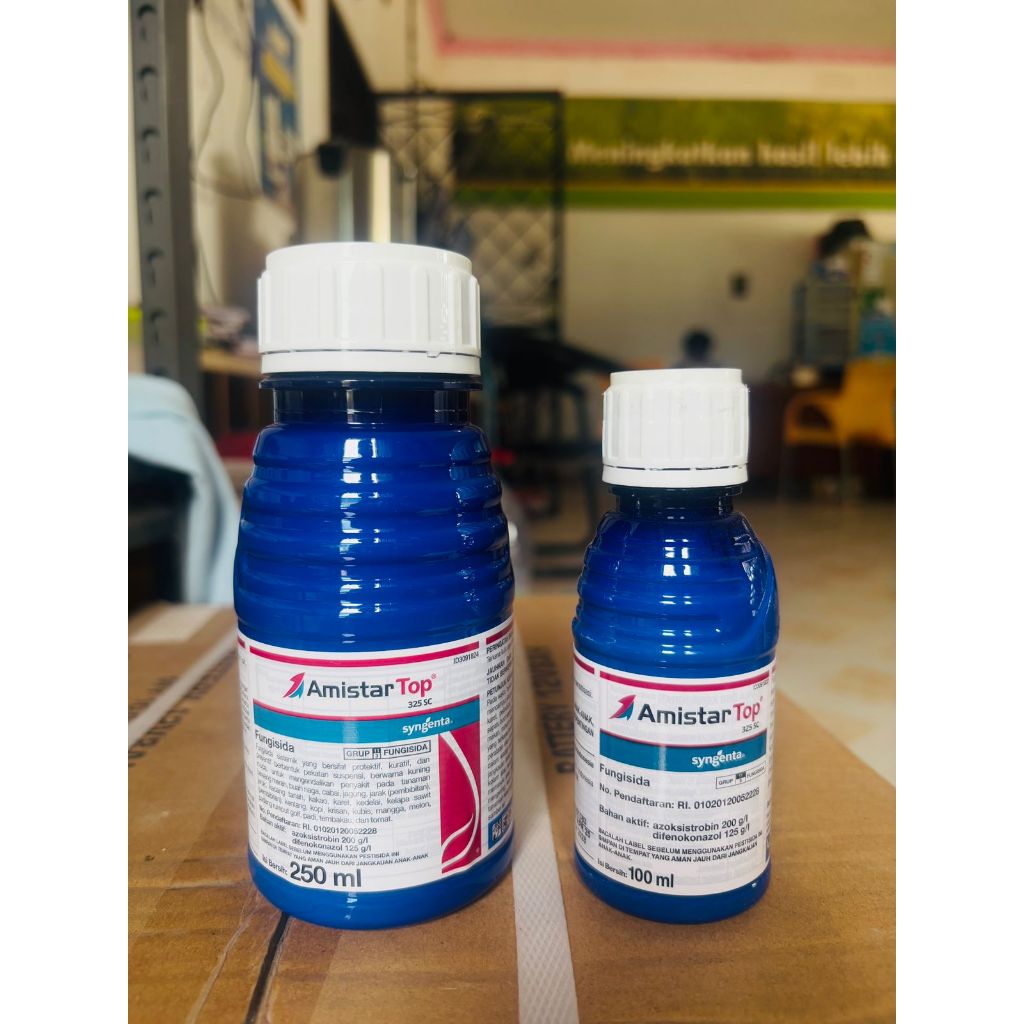 FUNGISIDA AMISTARTOP 325SC || obat jamur tanaman