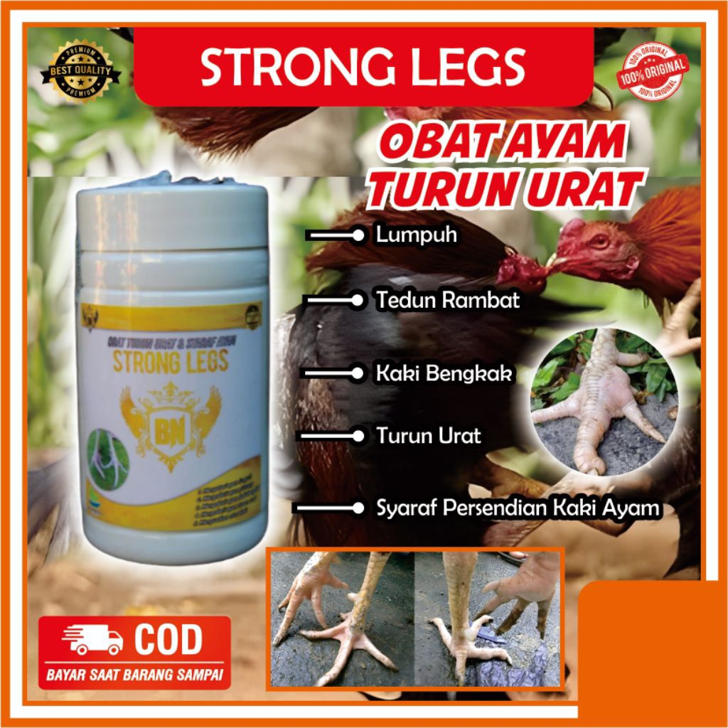 obat ayam turun urat STRONG LEGS obat herbal untuk mengobati turun urat kaki bengkak Kaki pincang Te