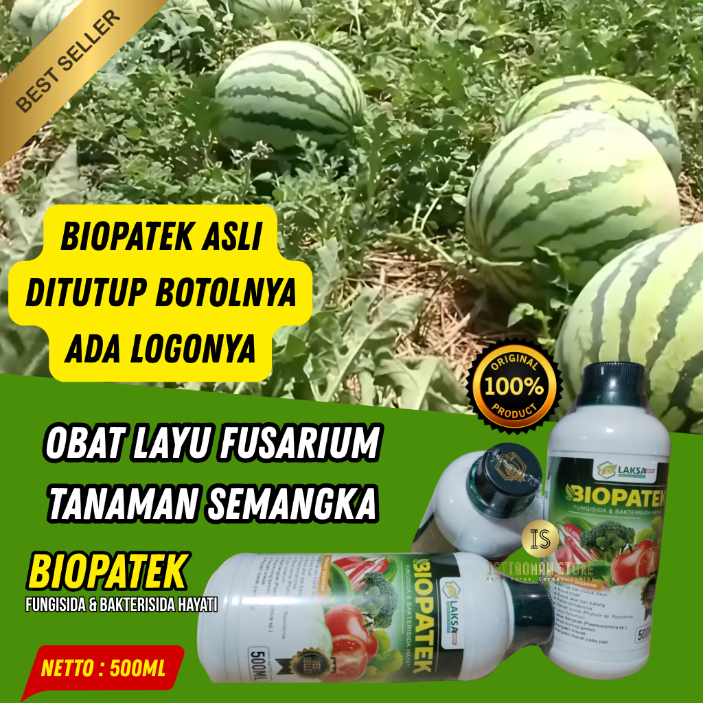 Obat Layu Fusarium Daun Tanaman Semangka Ampuh BIOPATEK 500ML Fungisida Hayati Mengatasi Penyakit La