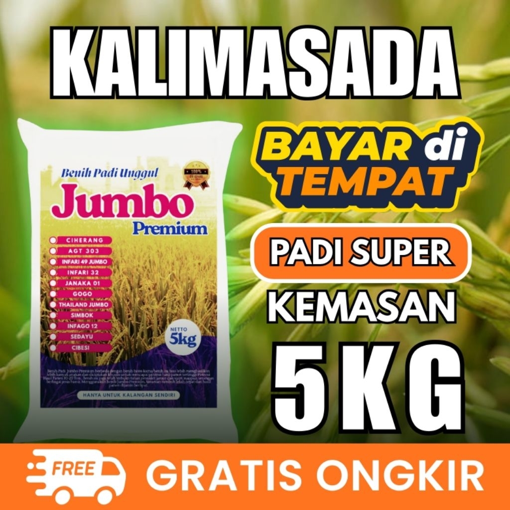 [ AGEN BENIH PADI ] KALIMASADA benih padi unggul kemasan 5kg