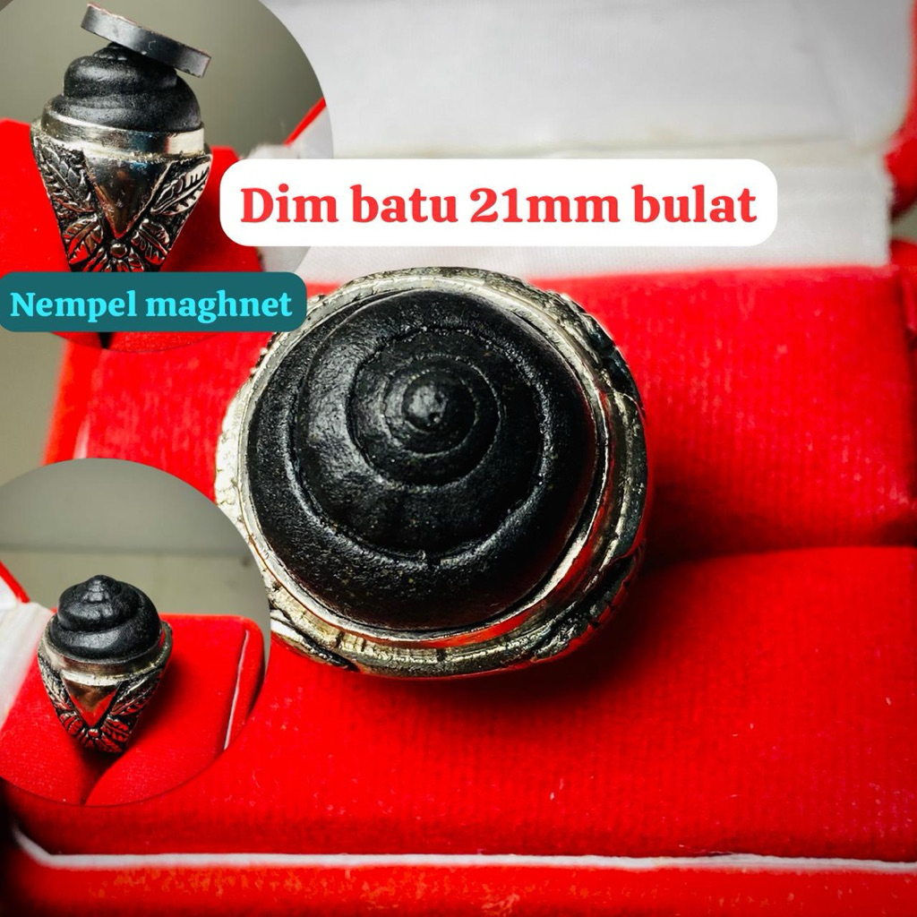 BATU AKIK KEONG BADAR BESI KOL BUNTET