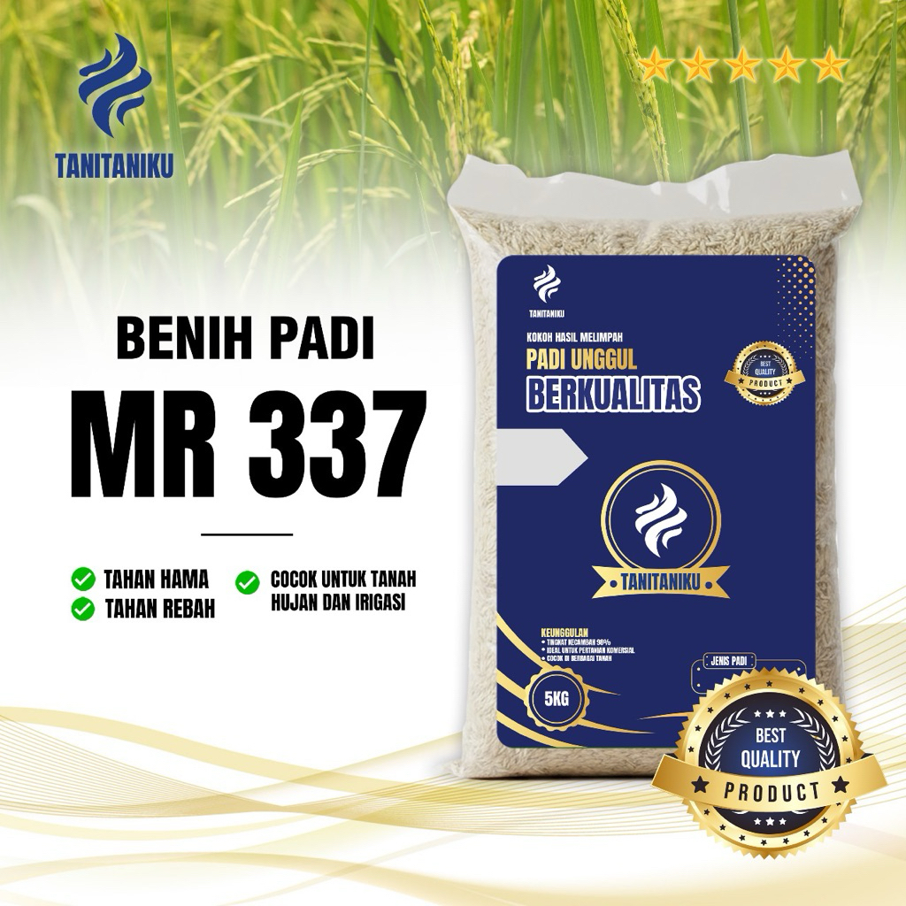 Benih padi bibit padi  MR337 original kemasan 5 kg