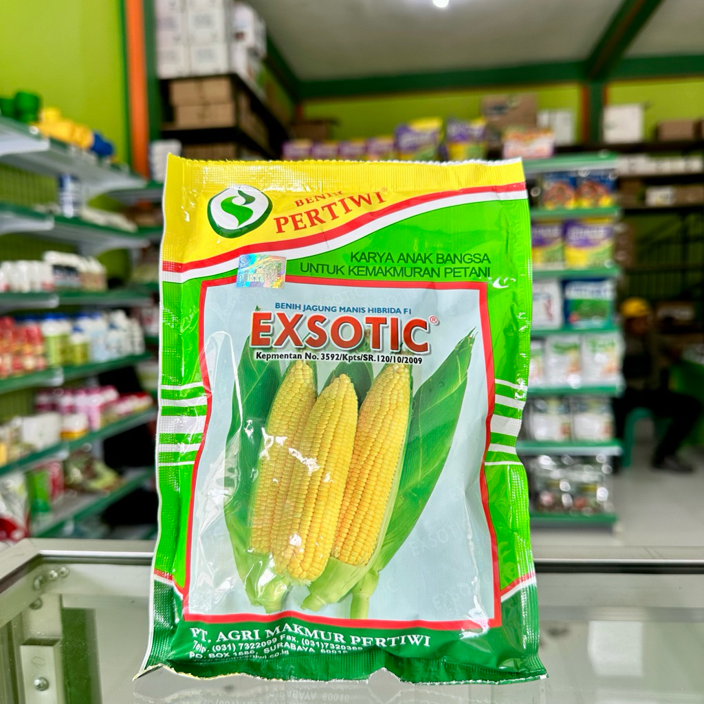 Benih Jagung Manis Exsotic 1.750 Butir - Bibit Jagung Manis Exsotic dari Benih Pertiwi
