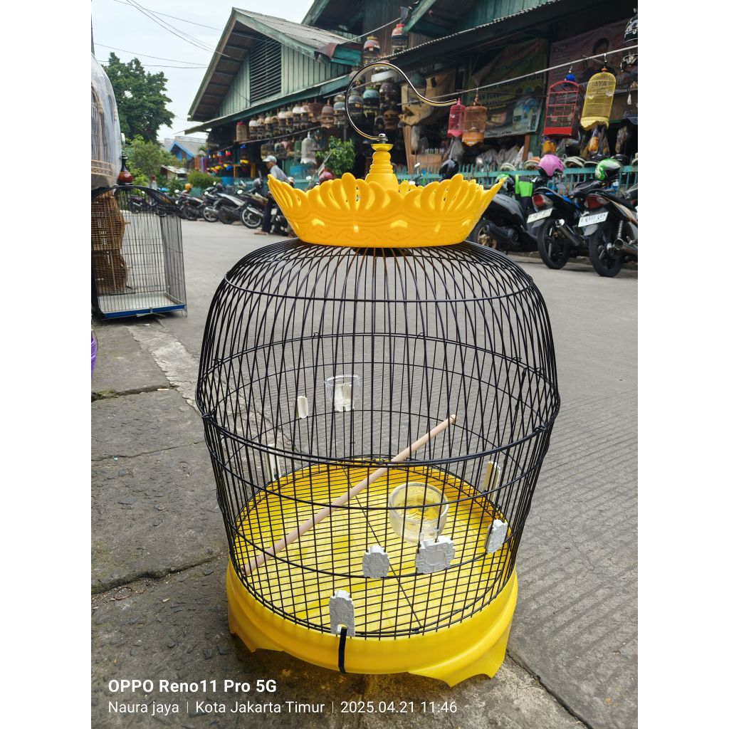 (KARGO)KANDANG SANGKAR PUTER TEKUKUR BESI
