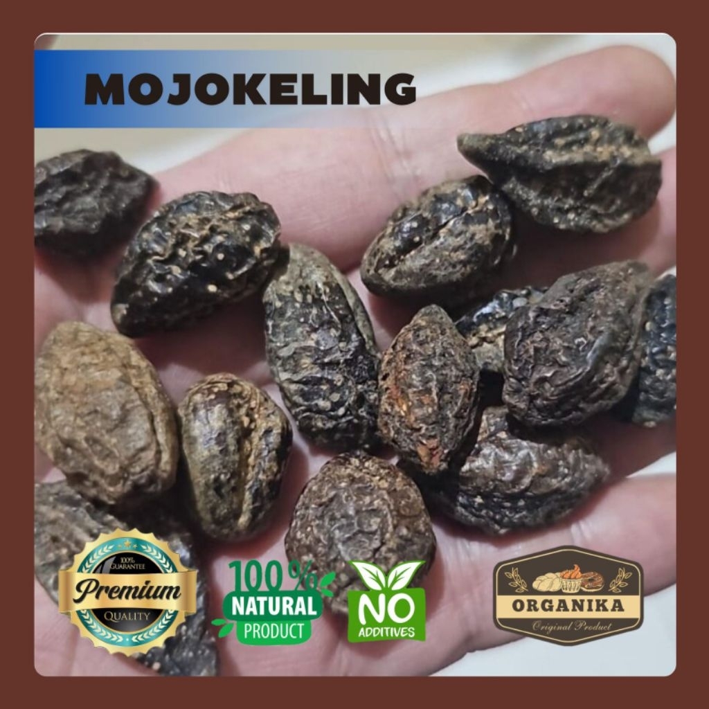 Biji Mojokeling / Biji Jokeling 100gr