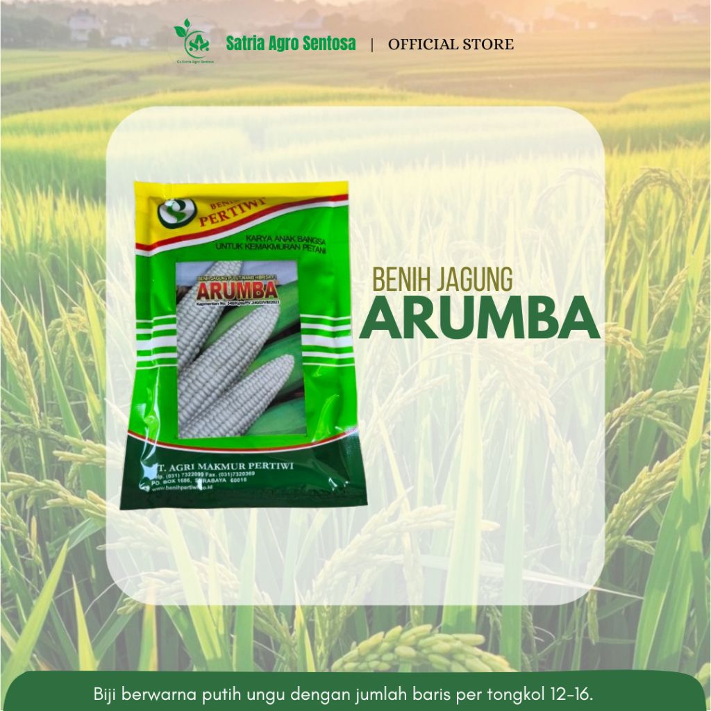 BENIH JAGUNG KETAN ARUMBA-250GR