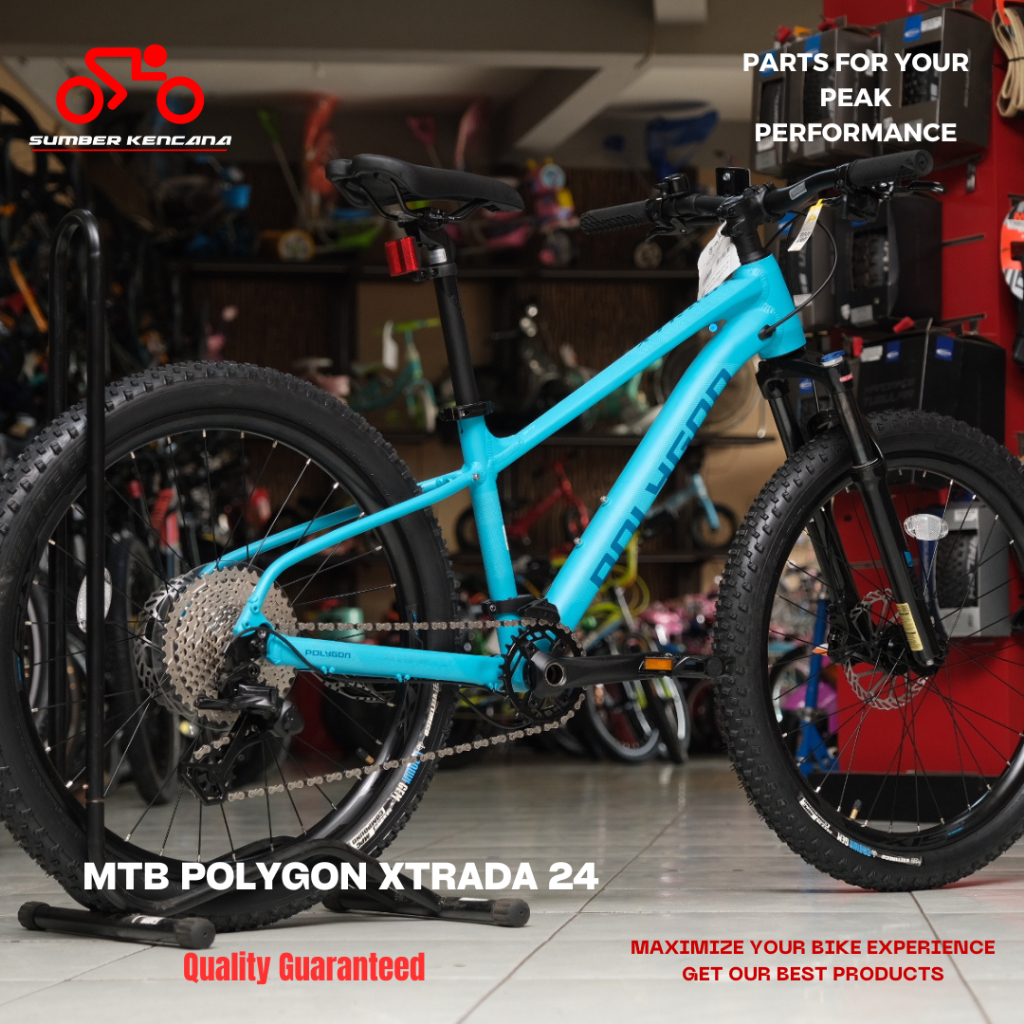 MTB POLYGON XTRADA 24