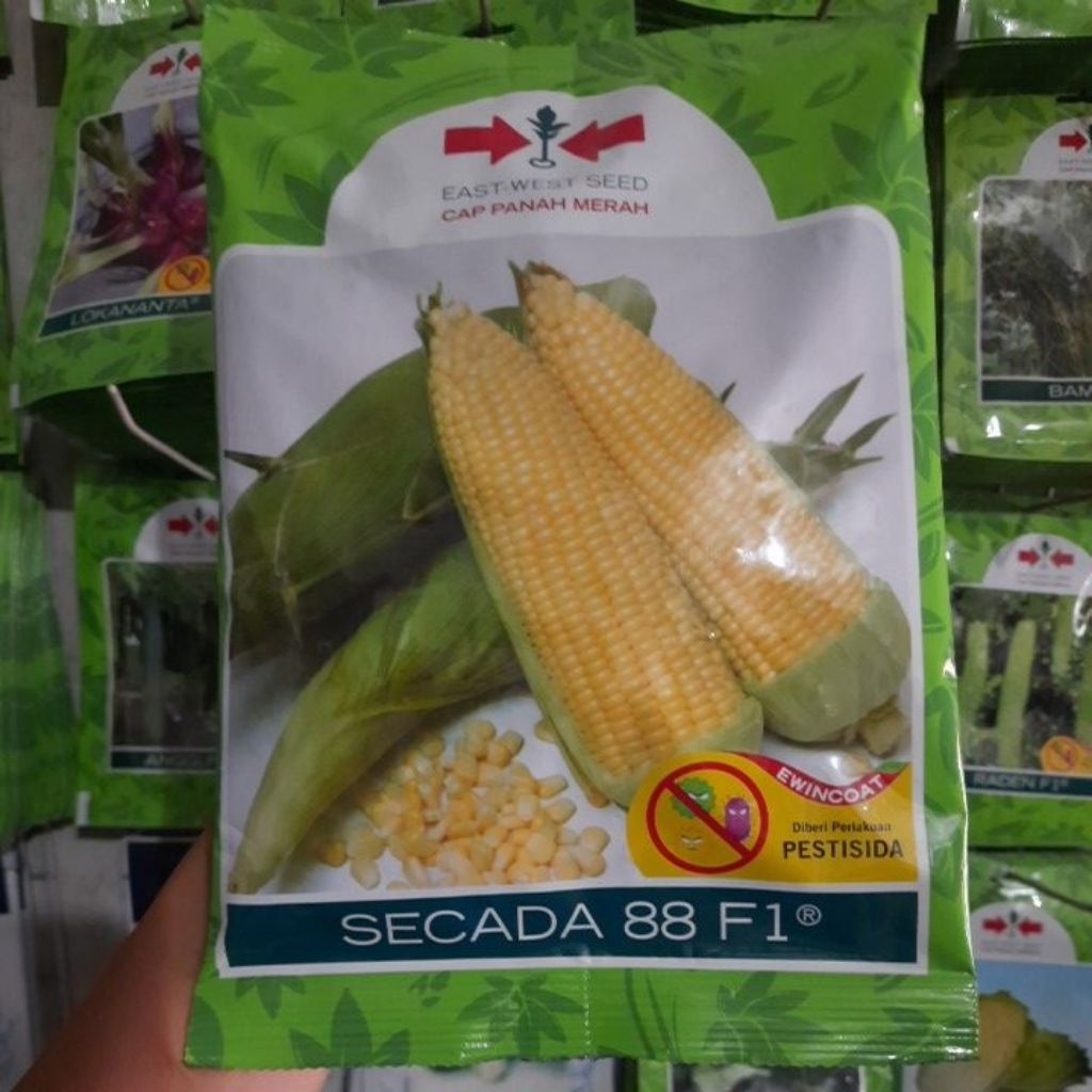 Benih Jagung Manis SECADA 88 F1 Isi 1800biji