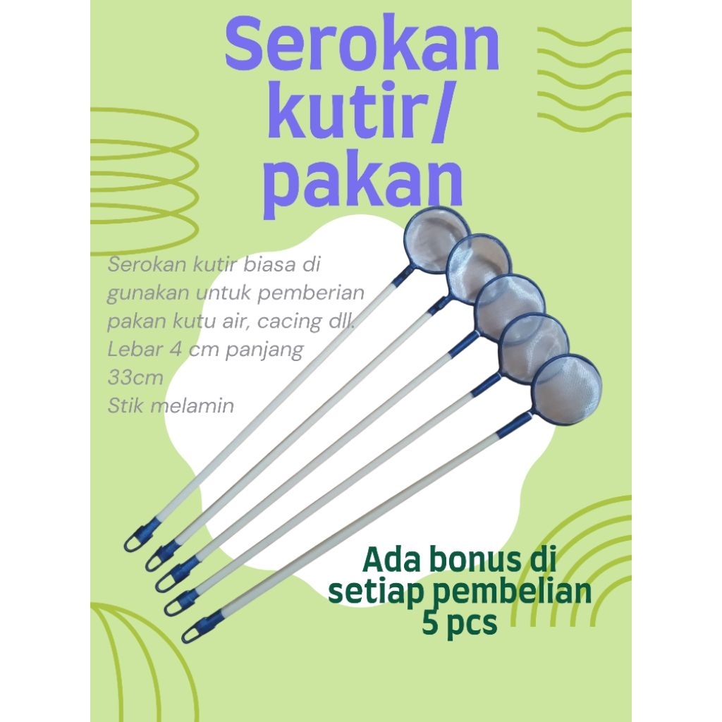 serokan kutu air