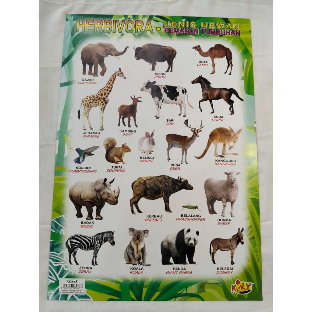 KIKY POSTER EDUKASI / POSTER BELAJAR / POSTER ANGKA / POSTER HEWAN / POSTER HURUF /POSTER GAMBAR