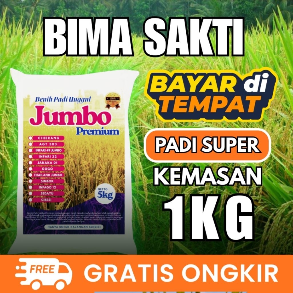 Bibit Padi Unggul Bima Sakti 1kg